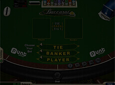 Punt casino review screenshot