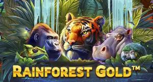 Dig Deep for Treasure in the Rainforest Gold Slot New Release